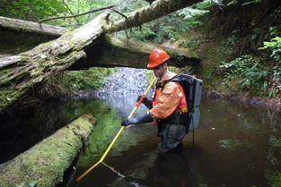 Ngành Kỹ thuật môi trường (Environment Technician) tại Georgian College – Du học Canada